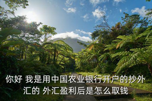 你好 我是用中國農(nóng)業(yè)銀行開戶的抄外匯的 外匯盈利后是怎么取錢