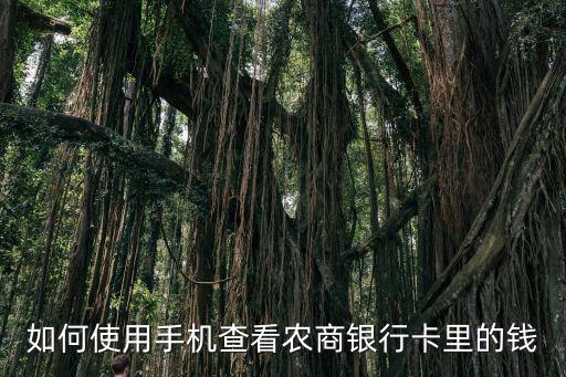如何使用手機(jī)查看農(nóng)商銀行卡里的錢(qián)