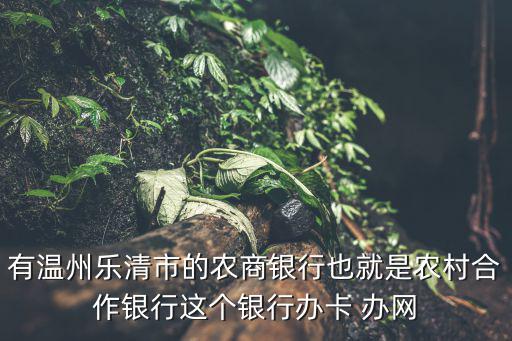 有溫州樂清市的農商銀行也就是農村合作銀行這個銀行辦卡 辦網