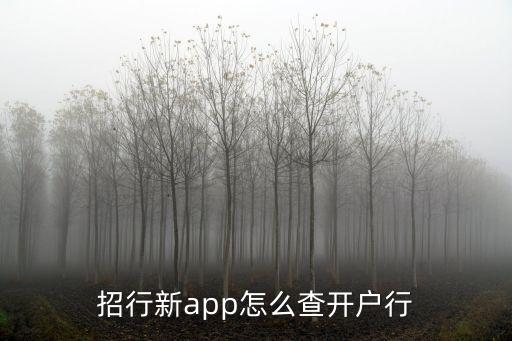 招行新app怎么查開戶行