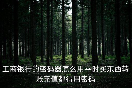 工行密碼器轉(zhuǎn)賬怎么用，怎么使用工商銀行電子密碼器進(jìn)行交易