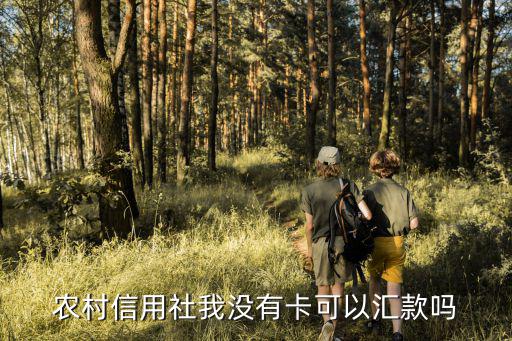 農(nóng)村信用社我沒有卡可以匯款嗎