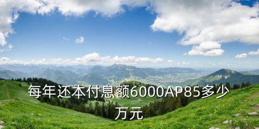 每年還本付息額6000AP85多少萬元