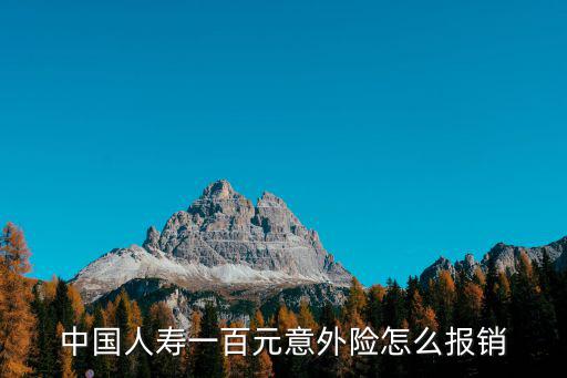 中國人壽一百元意外險怎么報銷