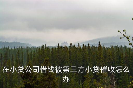 在小貸公司借錢被第三方小貸催收怎么辦