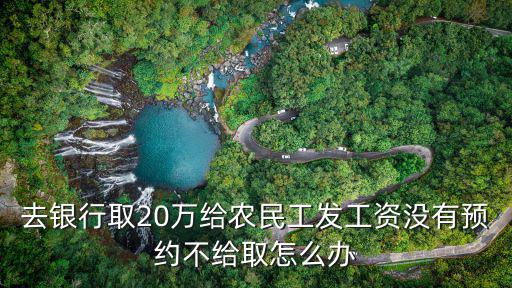 去銀行取20萬(wàn)給農(nóng)民工發(fā)工資沒(méi)有預(yù)約不給取怎么辦