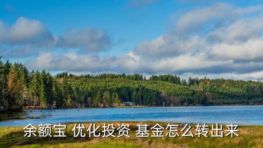 余額寶 優(yōu)化投資 基金怎么轉(zhuǎn)出來