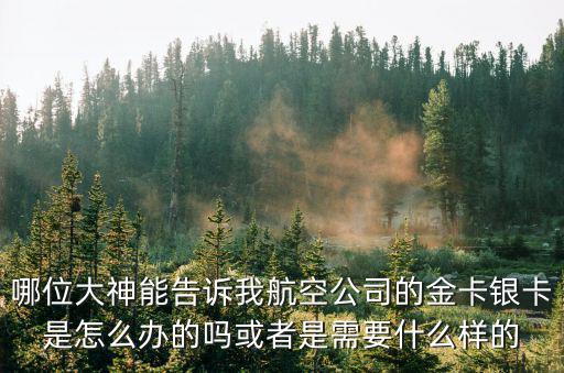 哪位大神能告訴我航空公司的金卡銀卡是怎么辦的嗎或者是需要什么樣的