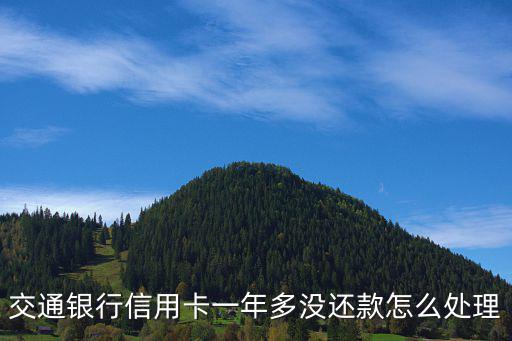交通銀行信用卡一年多沒(méi)還款怎么處理
