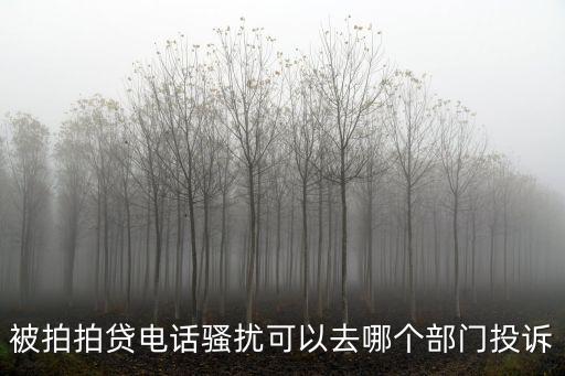怎么樣投訴上海拍拍貸，接到拍拍貸騷擾電話拍拍貸官方不管還態(tài)度惡劣要在哪里投訴