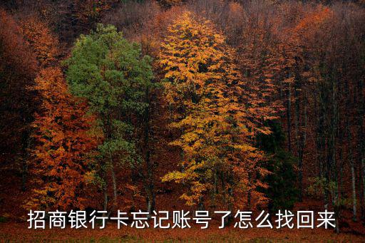 招商銀行卡忘記賬號了怎么找回來