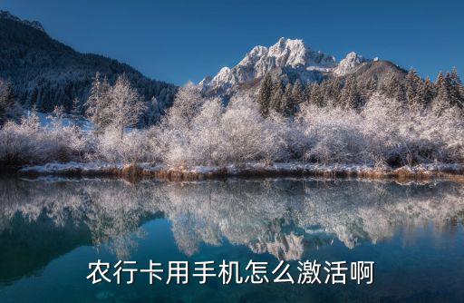 銀行預(yù)留電話怎么激活，我辦信用卡預(yù)留時(shí)的手機(jī)號(hào)換了 現(xiàn)在要激活怎么辦