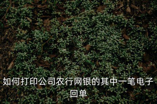 如何打印公司農(nóng)行網(wǎng)銀的其中一筆電子回單