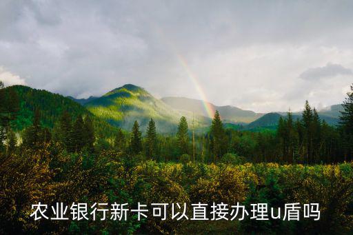 有卡怎么辦農(nóng)行u盾，現(xiàn)有的銀行卡怎么辦理U盾呀