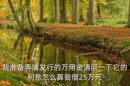 我準備弄浦發(fā)行的萬用金請問一下它的利息怎么算我借25萬元