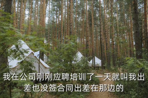 紫光金服壹天集團有限公司怎么樣，壹壹金服是個怎樣的公司嗎求專業(yè)人士回答