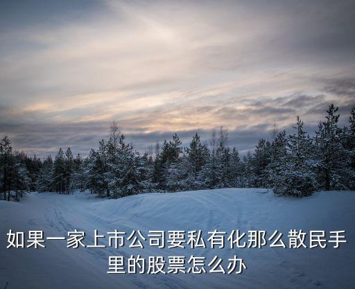 如果一家上市公司要私有化那么散民手里的股票怎么辦