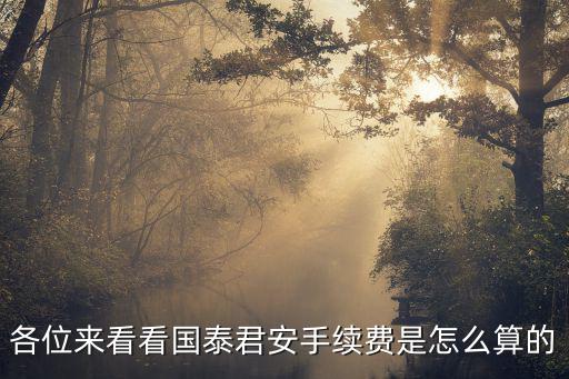 國(guó)泰君安股票交易手續(xù)費(fèi)怎么算，國(guó)泰君安證劵的交易手續(xù)費(fèi)怎么算