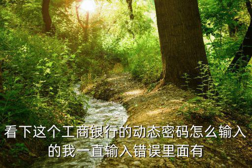 看下這個(gè)工商銀行的動(dòng)態(tài)密碼怎么輸入的我一直輸入錯(cuò)誤里面有
