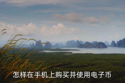 怎樣在手機(jī)上購(gòu)買(mǎi)并使用電子幣