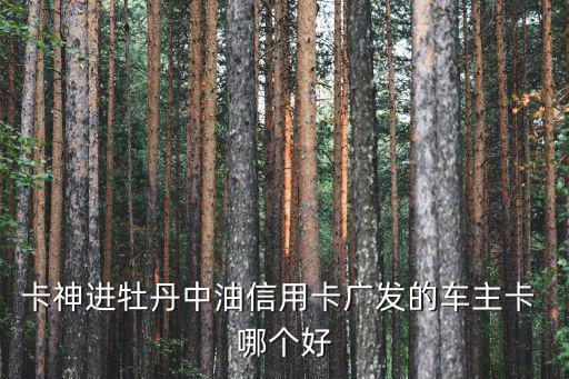 卡神進牡丹中油信用卡廣發(fā)的車主卡 哪個好