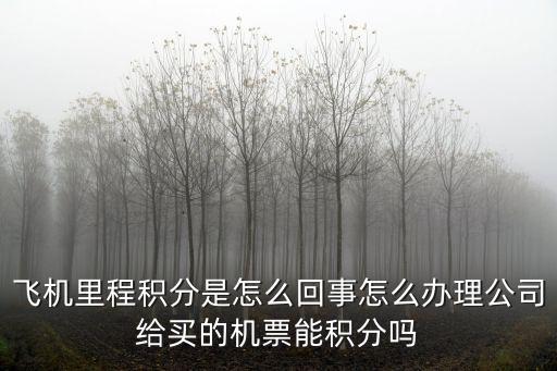 坐飛機怎么里程積分，同程機票里程怎么積分