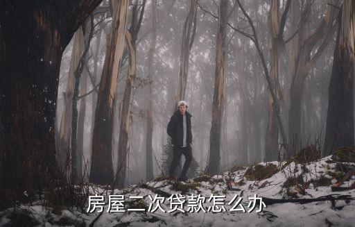 房屋二次貸款怎么辦