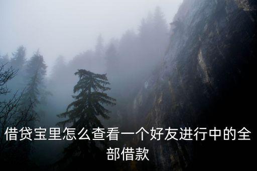 借貸寶里怎么查看一個好友進行中的全部借款