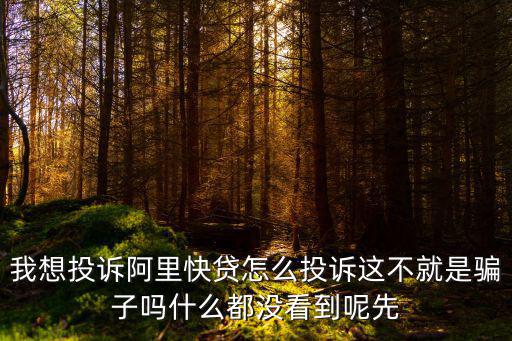 我想投訴阿里快貸怎么投訴這不就是騙子嗎什么都沒(méi)看到呢先