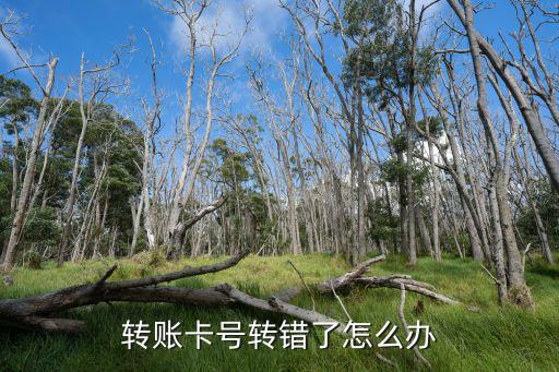 轉(zhuǎn)賬卡號(hào)轉(zhuǎn)錯(cuò)了怎么辦