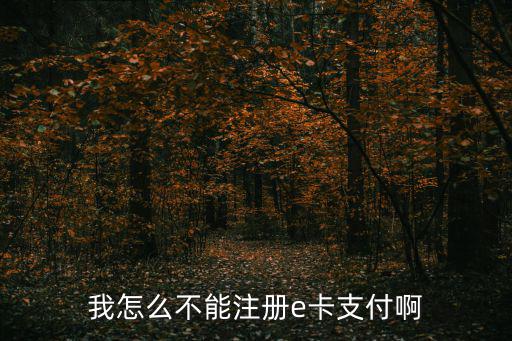 建行e付卡申請不了怎么辦理，我怎么不能注冊e卡支付啊