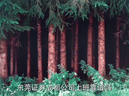 東莞證券上班怎么樣，證券公司工作好嗎