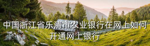 中國浙江省樂清市農業(yè)銀行在網上如何開通網上銀行