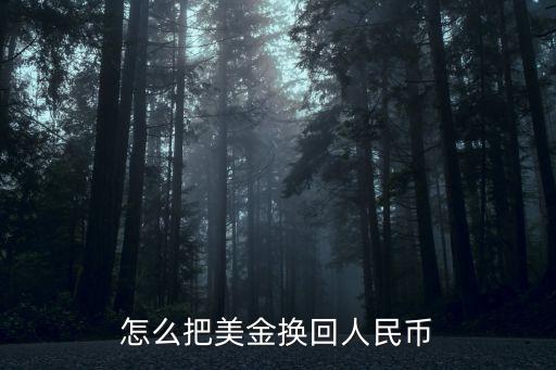 怎么把美金換回人民幣