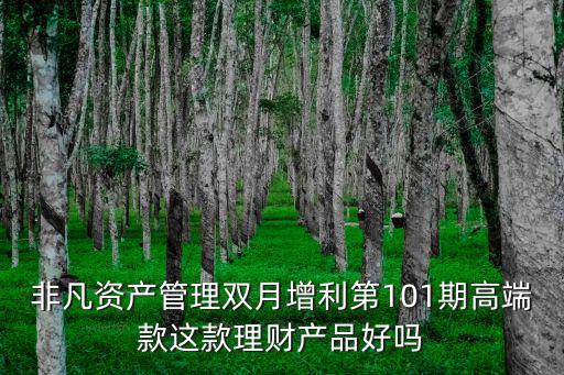 非凡資產(chǎn)管理雙月增利第101期高端款這款理財產(chǎn)品好嗎