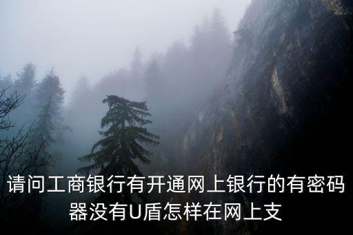 沒(méi)有工行u盾怎么使用方法，請(qǐng)問(wèn)工行的網(wǎng)銀沒(méi)有U盾該如何使用是否需要下載一個(gè)軟件我自己