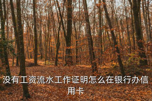 沒(méi)有工資流水工作證明怎么在銀行辦信用卡