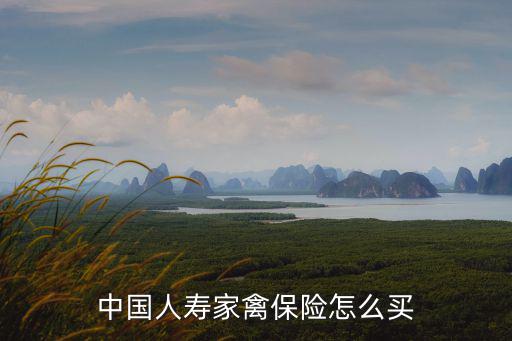 中國人壽家禽保險怎么買