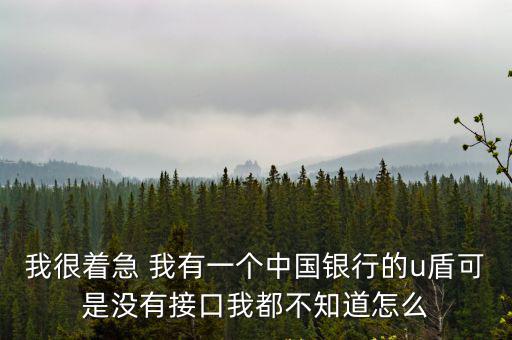 我很著急 我有一個中國銀行的u盾可是沒有接口我都不知道怎么