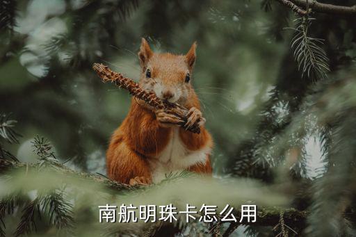 南航明珠卡怎么用，南航明珠卡里程有什么用怎么使用比如生倉需要多少北京到廣州的