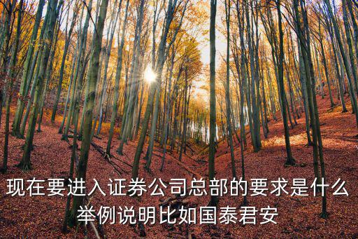 現(xiàn)在要進(jìn)入證券公司總部的要求是什么舉例說(shuō)明比如國(guó)泰君安