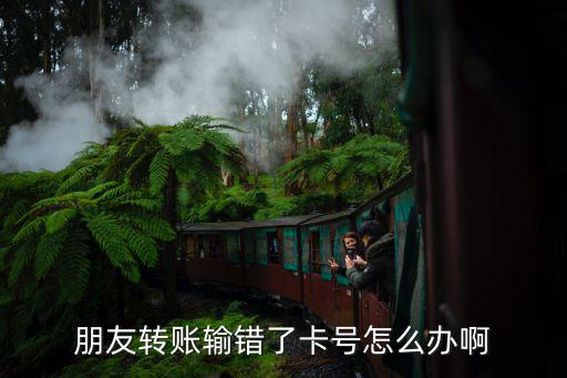 朋友轉(zhuǎn)賬輸錯(cuò)了卡號(hào)怎么辦啊