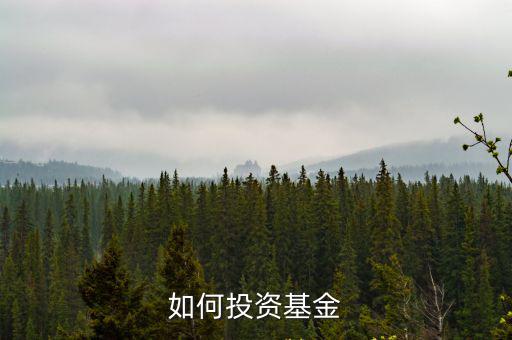 如何投資基金