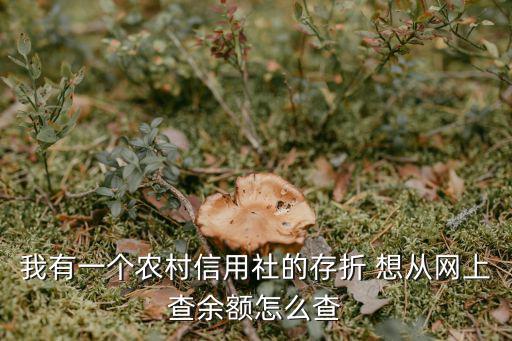 我有一個(gè)農(nóng)村信用社的存折 想從網(wǎng)上查余額怎么查
