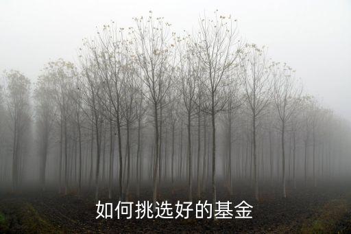 如何挑選好的基金