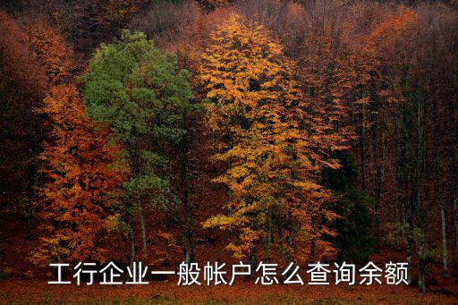 工行企業(yè)一般帳戶怎么查詢余額