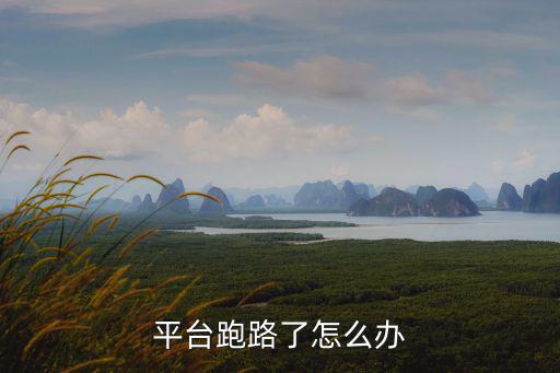 創(chuàng)利投跑路怎么辦，平臺跑路了怎么辦