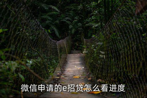 微信申請(qǐng)的e招貸怎么看進(jìn)度