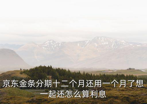 京東金條怎么還款劃算，京東金條每月還款怎樣還的