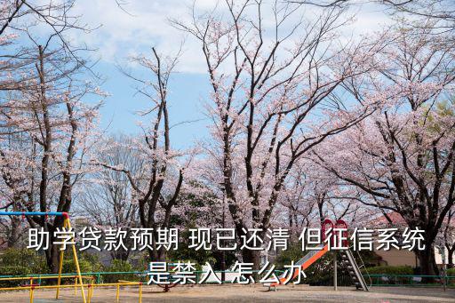 個人征信禁入了怎么辦，我銀行有不良貸款征信顯示禁入現(xiàn)在想辦按揭有什么辦法